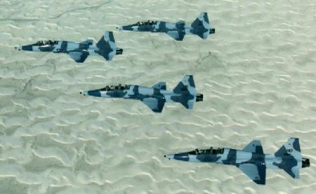 F-5 Freedom Fighter / Tiger
